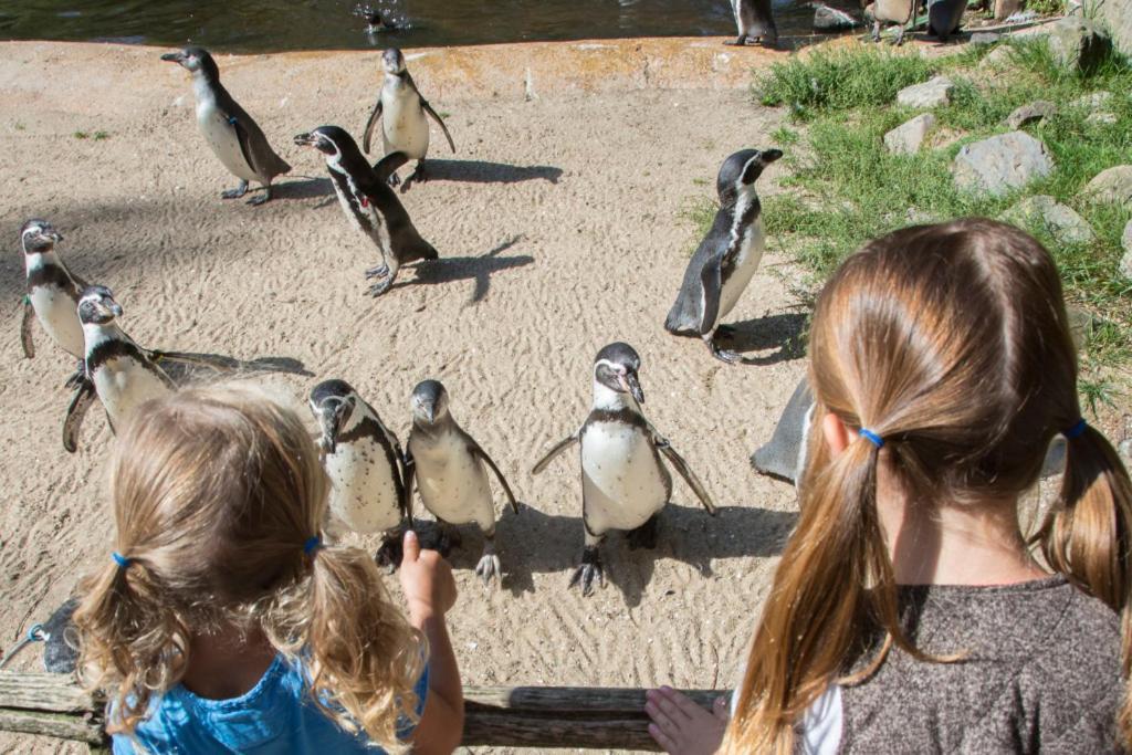 Enjoy Natur, See Und Meer Chalet Lauwersoog- 1-6 Pers- 3 Schlafzimmer, 2 Badezimmer- Fruehes Einchecken Ab 14 Uhr Buitenkant foto