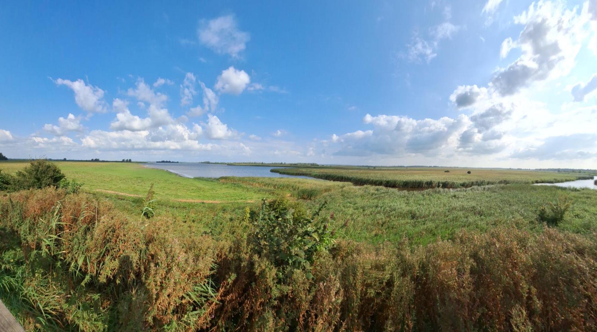 Enjoy Natur, See Und Meer Chalet Lauwersoog- 1-6 Pers- 3 Schlafzimmer, 2 Badezimmer- Fruehes Einchecken Ab 14 Uhr Buitenkant foto
