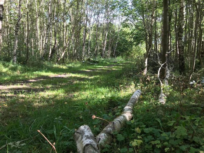 Enjoy Natur, See Und Meer Chalet Lauwersoog- 1-6 Pers- 3 Schlafzimmer, 2 Badezimmer- Fruehes Einchecken Ab 14 Uhr Buitenkant foto
