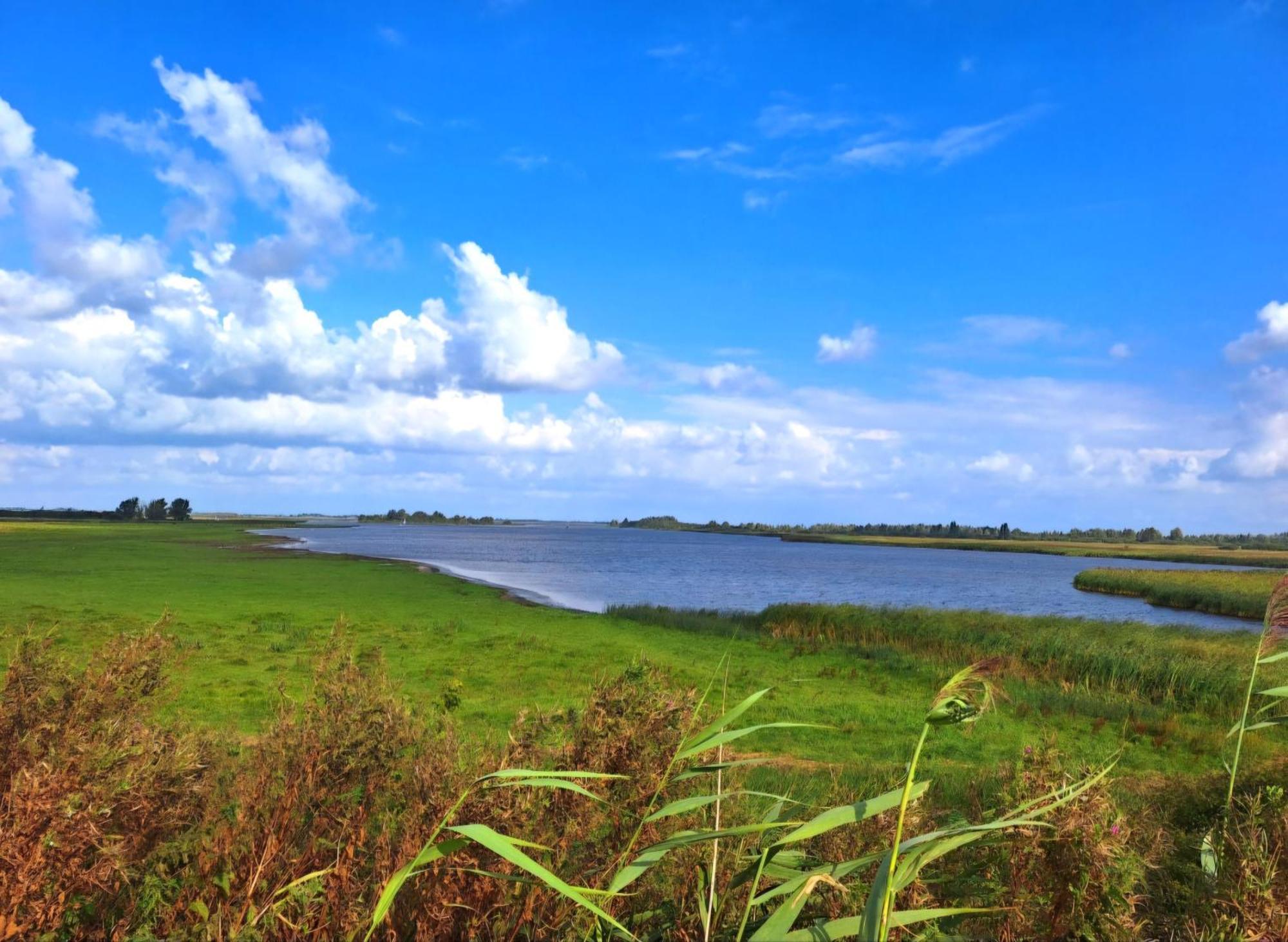 Enjoy Natur, See Und Meer Chalet Lauwersoog- 1-6 Pers- 3 Schlafzimmer, 2 Badezimmer- Fruehes Einchecken Ab 14 Uhr Buitenkant foto